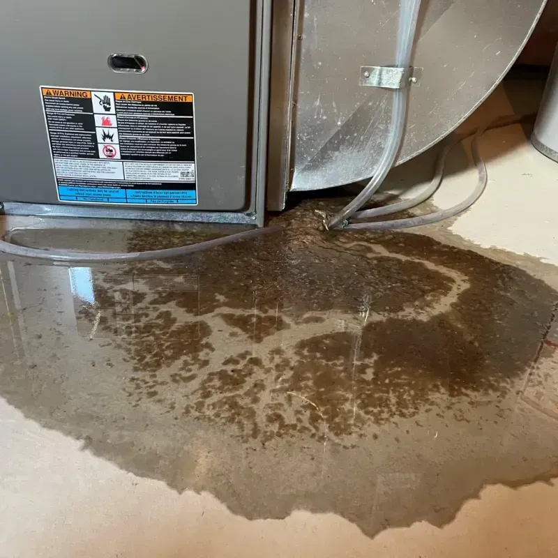 Appliance Leak Cleanup in Mattawa, WA